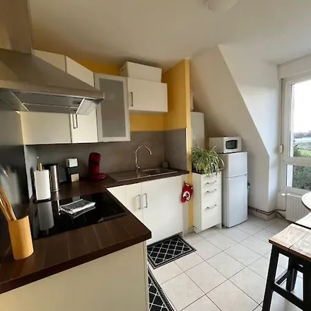 Ferienwohnung Le Nid Des Pruniers - F2 Au Calme - Parking Prive Sélestat Exterior foto