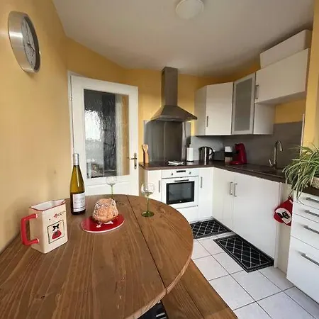 Ferienwohnung Le Nid Des Pruniers - F2 Au Calme - Parking Prive Sélestat Exterior foto